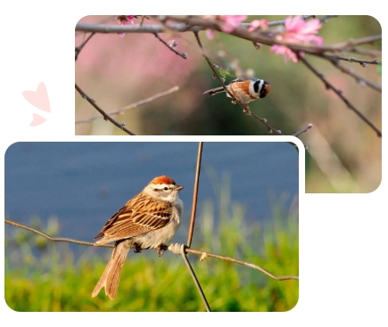 米乐|米乐·M6(中国大陆)官方网站