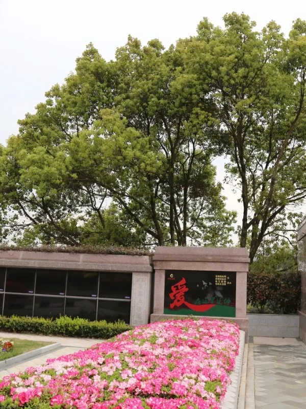 米乐|米乐·M6(中国大陆)官方网站