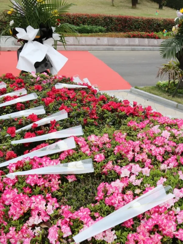 米乐|米乐·M6(中国大陆)官方网站