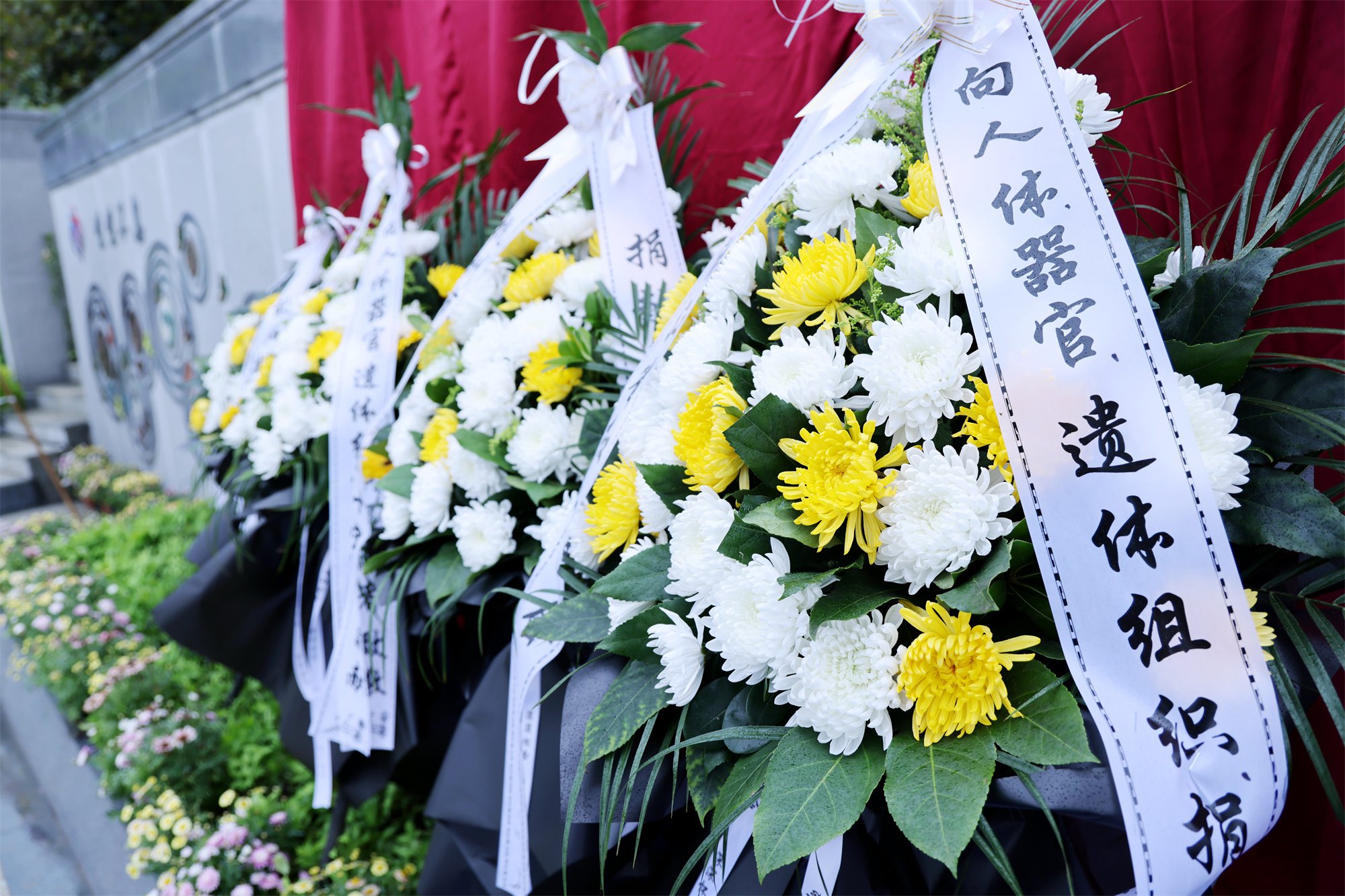 米乐|米乐·M6(中国大陆)官方网站