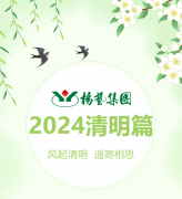 风起清明 遥寄相思|米乐m6集团?2024清明篇
