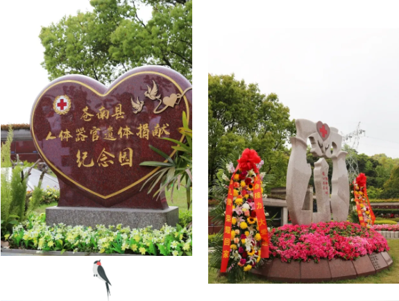 米乐|米乐·M6(中国大陆)官方网站