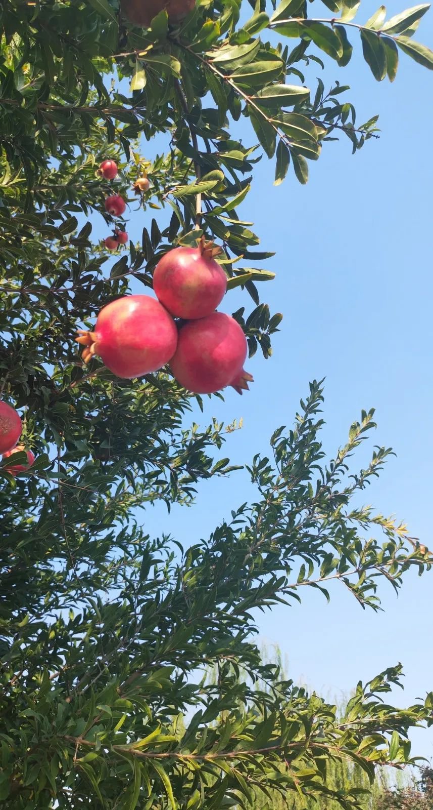 米乐|米乐·M6(中国大陆)官方网站