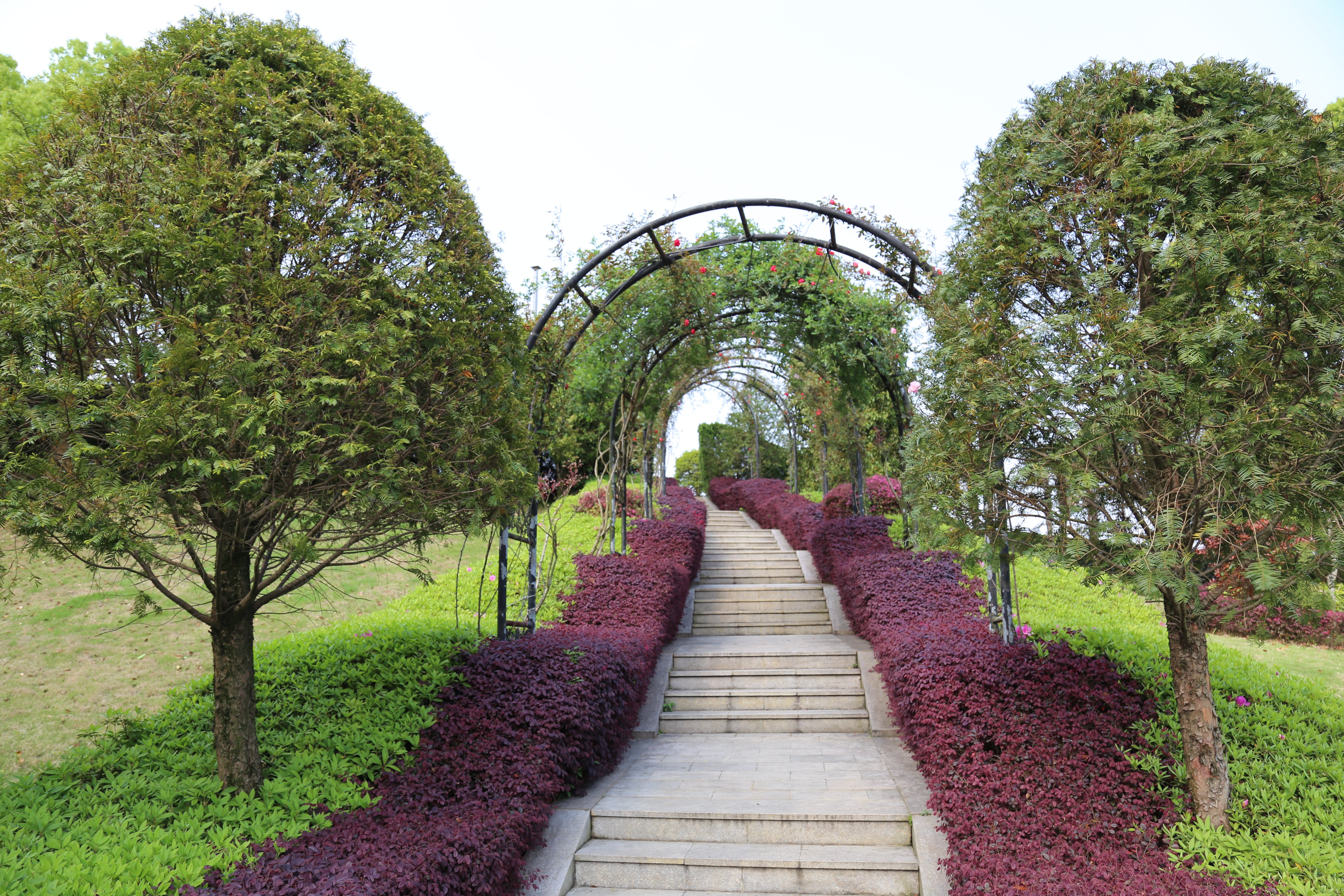 米乐|米乐·M6(中国大陆)官方网站