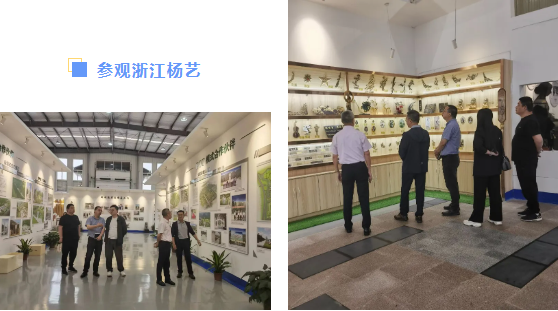 米乐|米乐·M6(中国大陆)官方网站