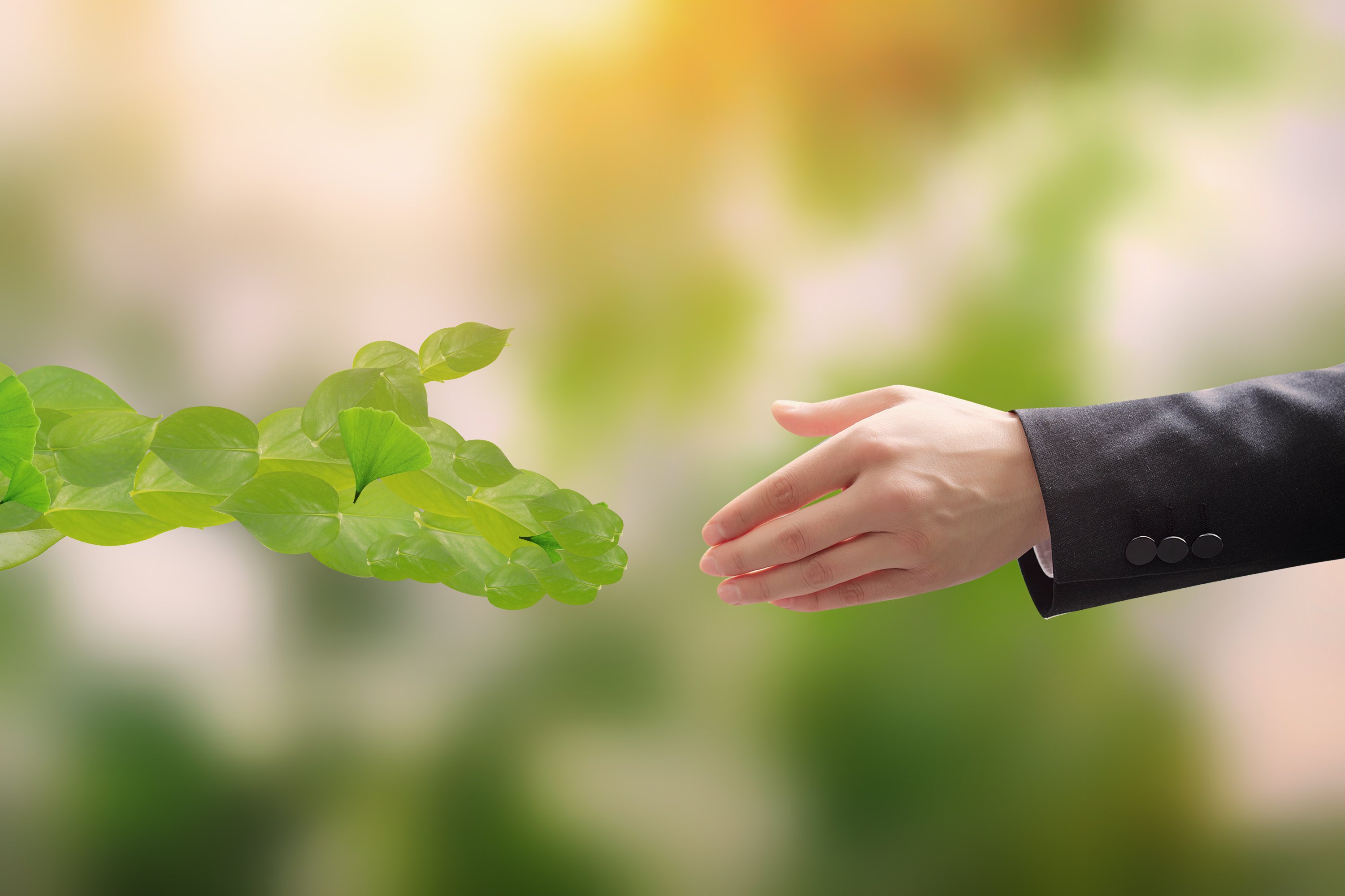 米乐|米乐·M6(中国大陆)官方网站