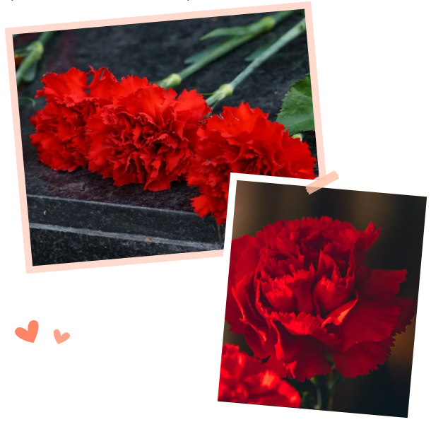 米乐|米乐·M6(中国大陆)官方网站