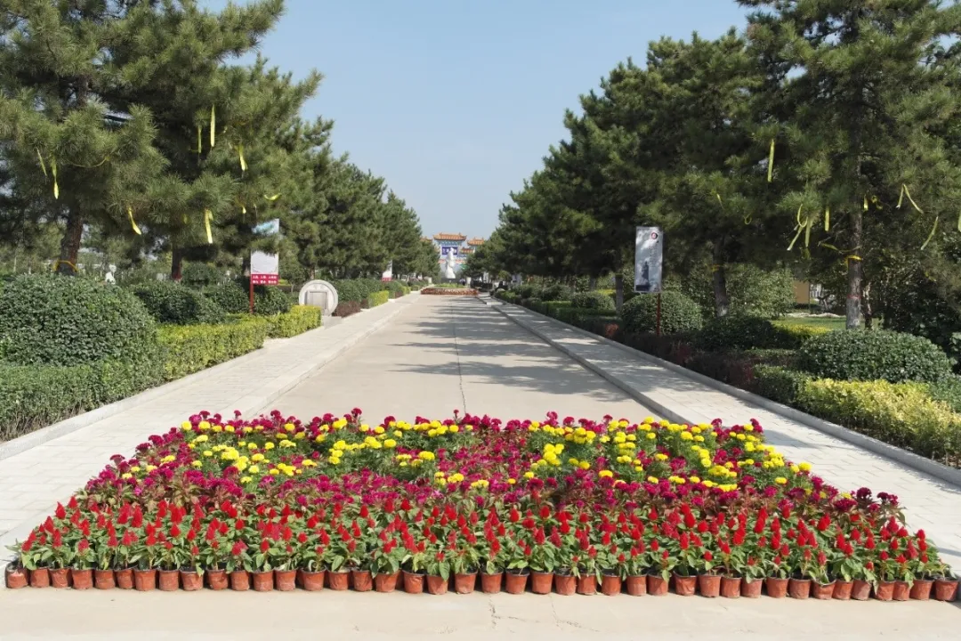 米乐|米乐·M6(中国大陆)官方网站