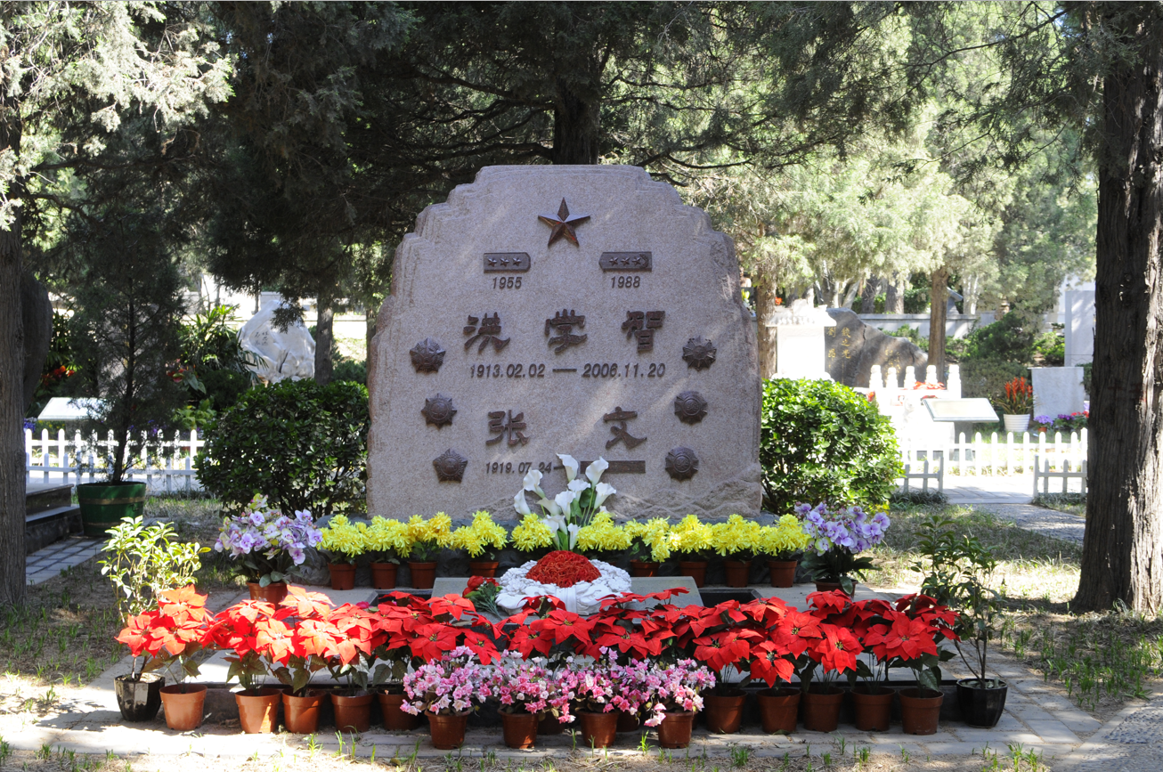 米乐|米乐·M6(中国大陆)官方网站