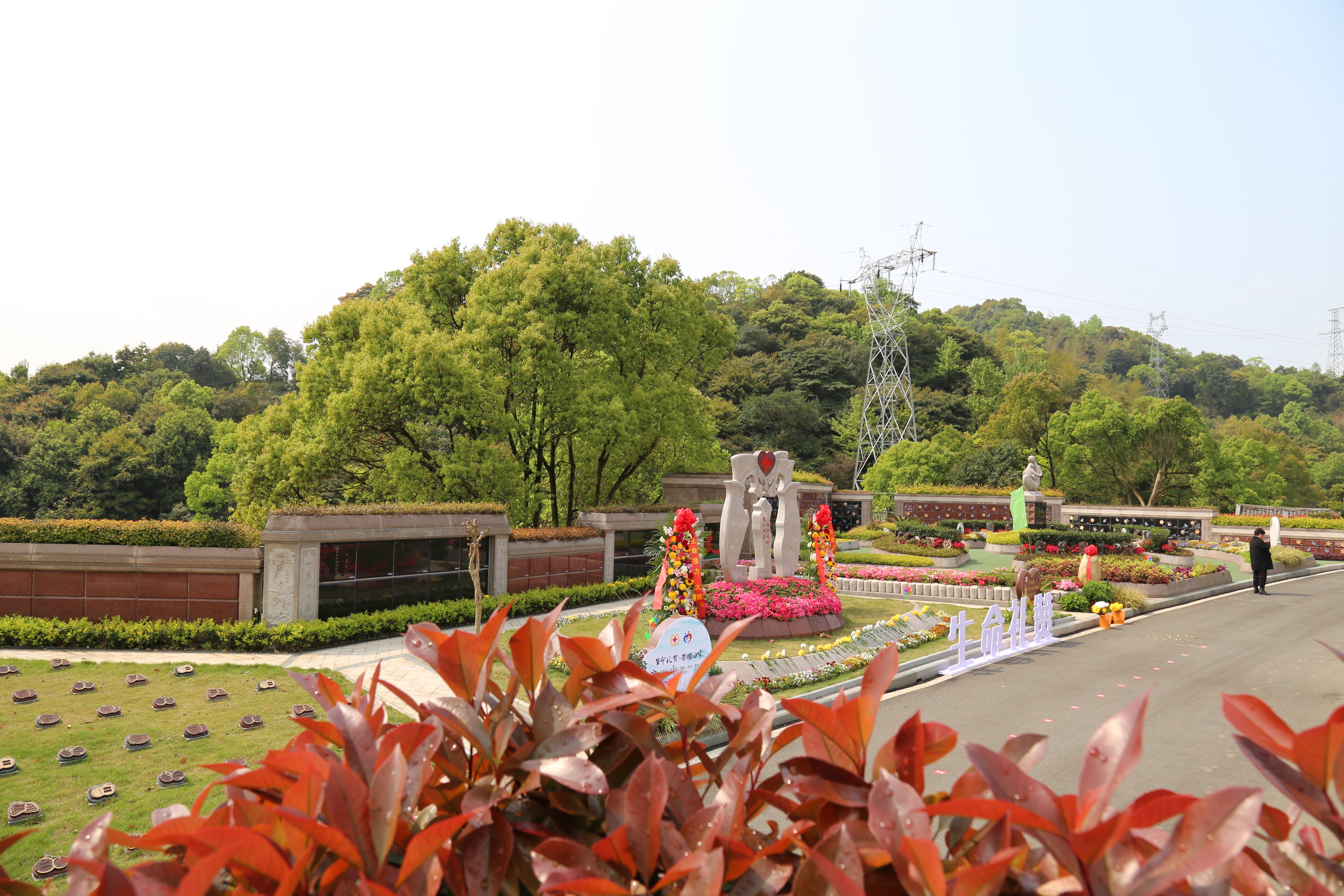 米乐|米乐·M6(中国大陆)官方网站