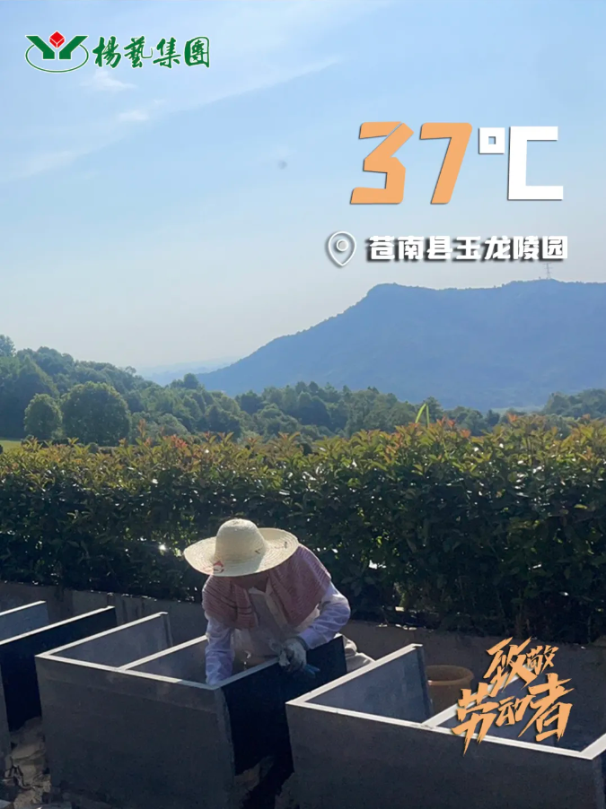 米乐|米乐·M6(中国大陆)官方网站