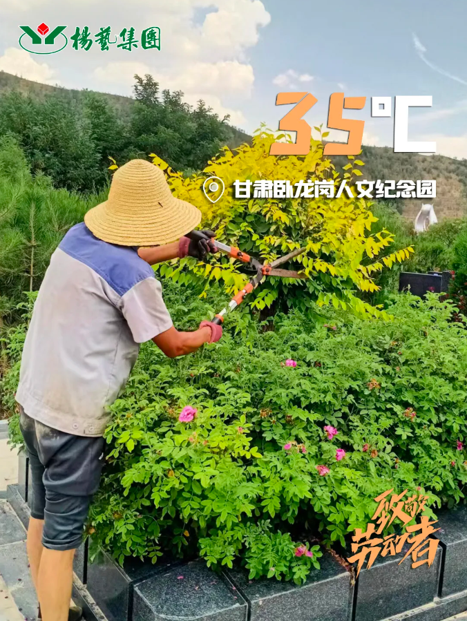 米乐|米乐·M6(中国大陆)官方网站