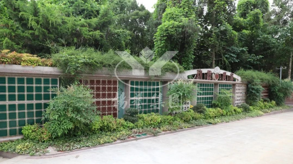 米乐|米乐·M6(中国大陆)官方网站