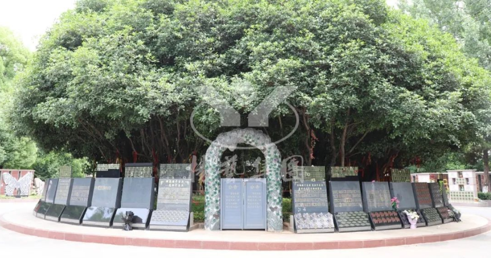 米乐|米乐·M6(中国大陆)官方网站