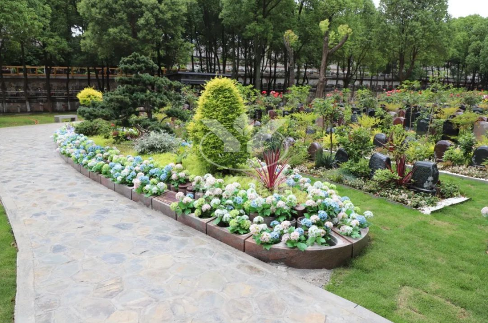 米乐|米乐·M6(中国大陆)官方网站