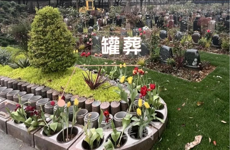 米乐|米乐·M6(中国大陆)官方网站