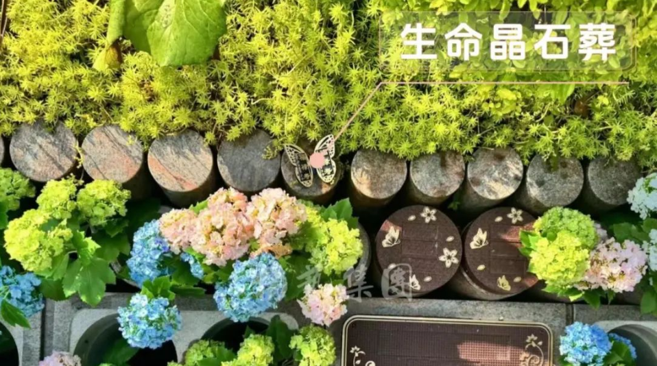 米乐|米乐·M6(中国大陆)官方网站