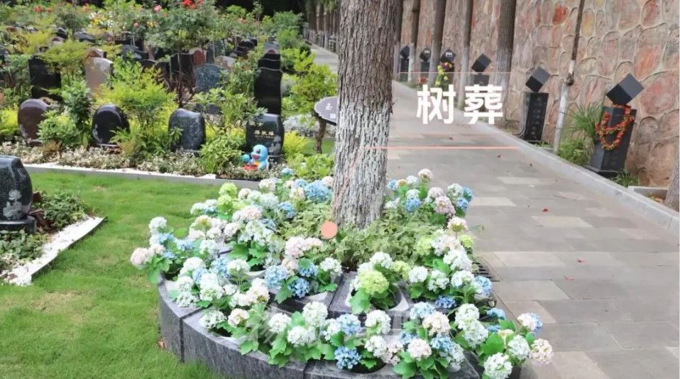 米乐|米乐·M6(中国大陆)官方网站