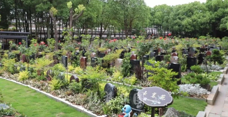 米乐|米乐·M6(中国大陆)官方网站