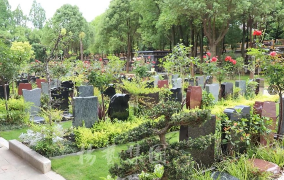 米乐|米乐·M6(中国大陆)官方网站