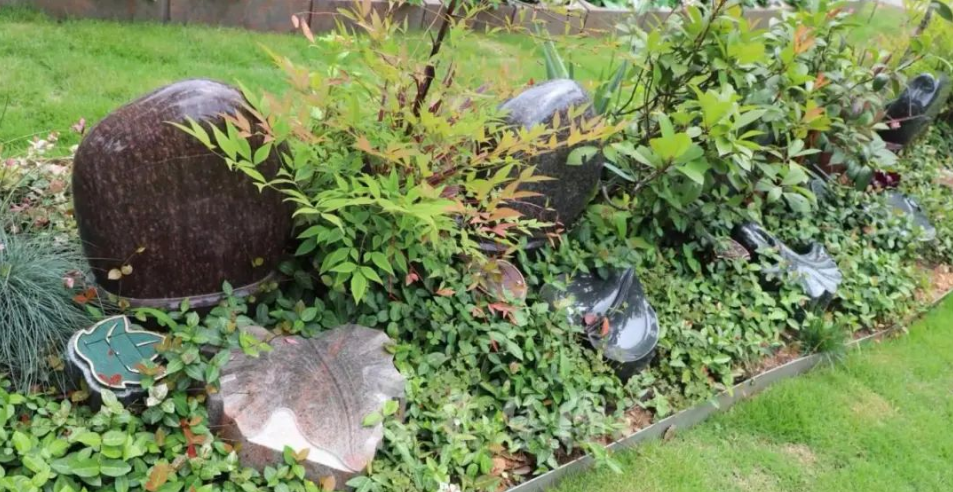 米乐|米乐·M6(中国大陆)官方网站