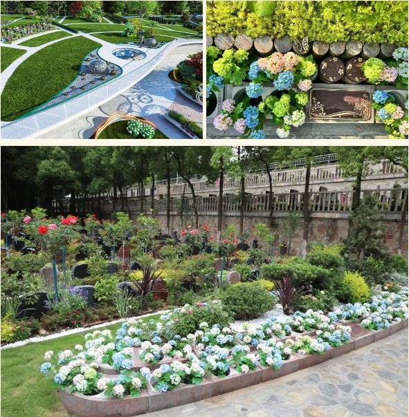 米乐|米乐·M6(中国大陆)官方网站