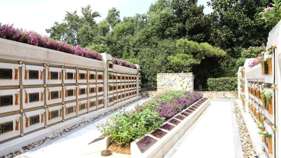 米乐|米乐·M6(中国大陆)官方网站