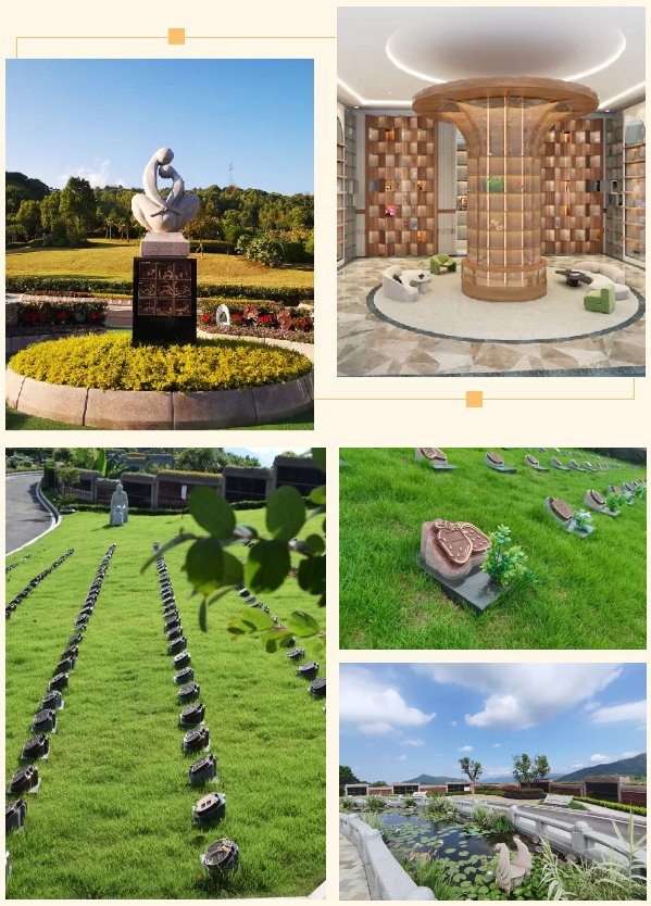 米乐|米乐·M6(中国大陆)官方网站