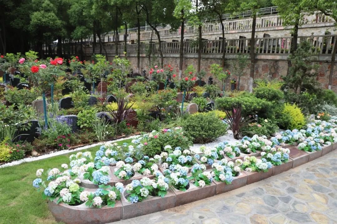 米乐|米乐·M6(中国大陆)官方网站