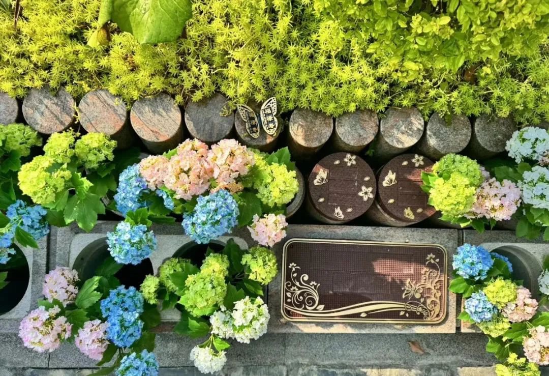 米乐|米乐·M6(中国大陆)官方网站