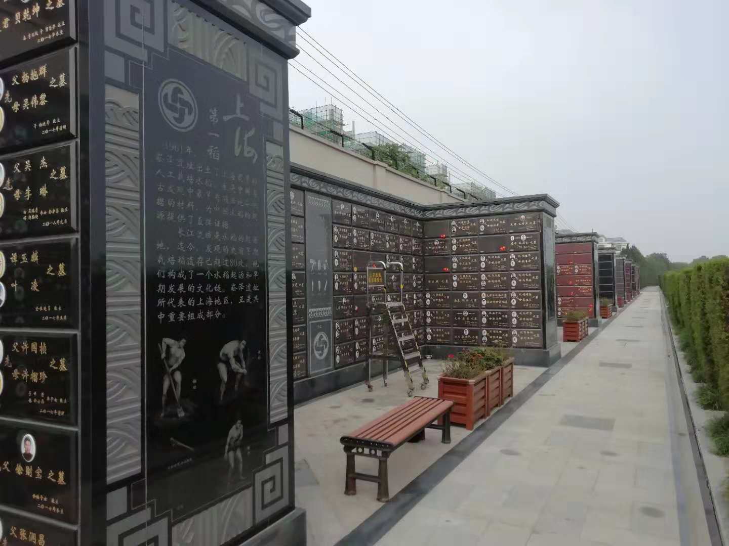 米乐|米乐·M6(中国大陆)官方网站