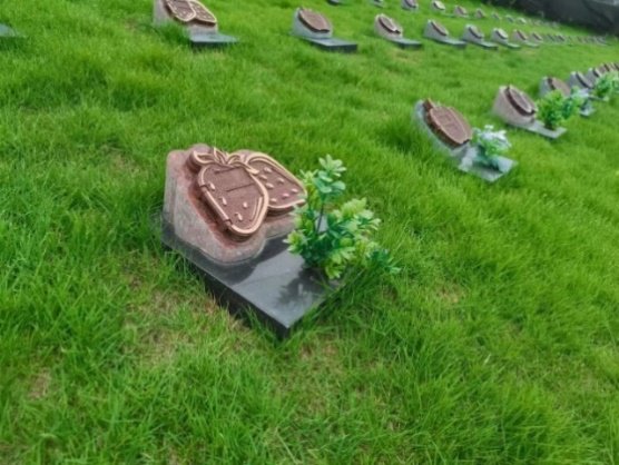 米乐|米乐·M6(中国大陆)官方网站