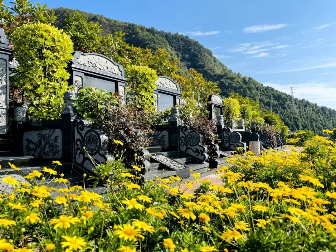 米乐|米乐·M6(中国大陆)官方网站