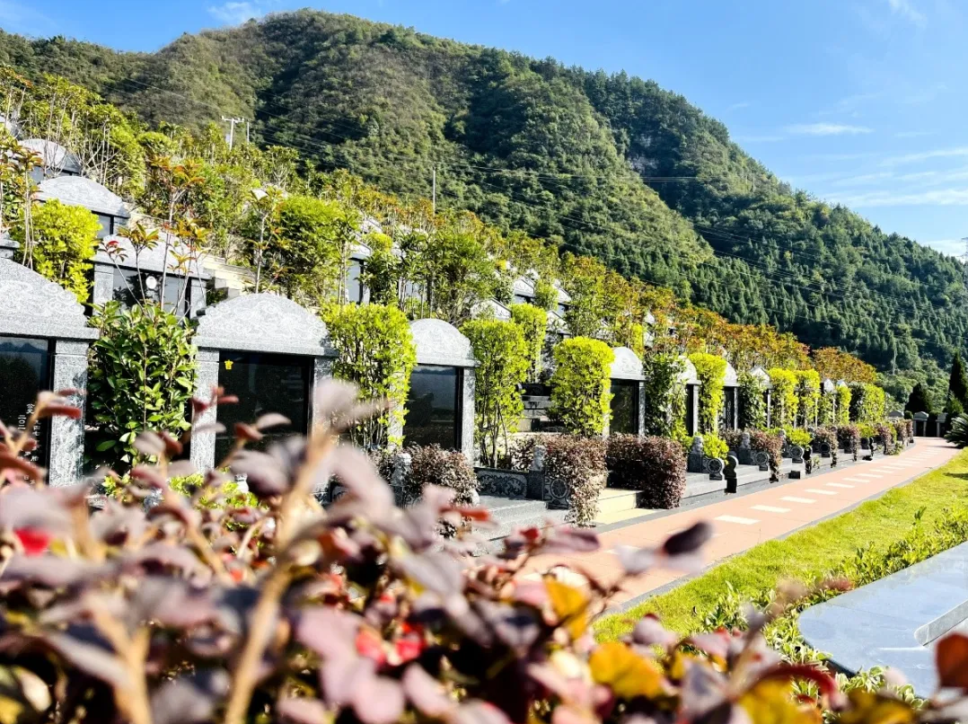 米乐|米乐·M6(中国大陆)官方网站