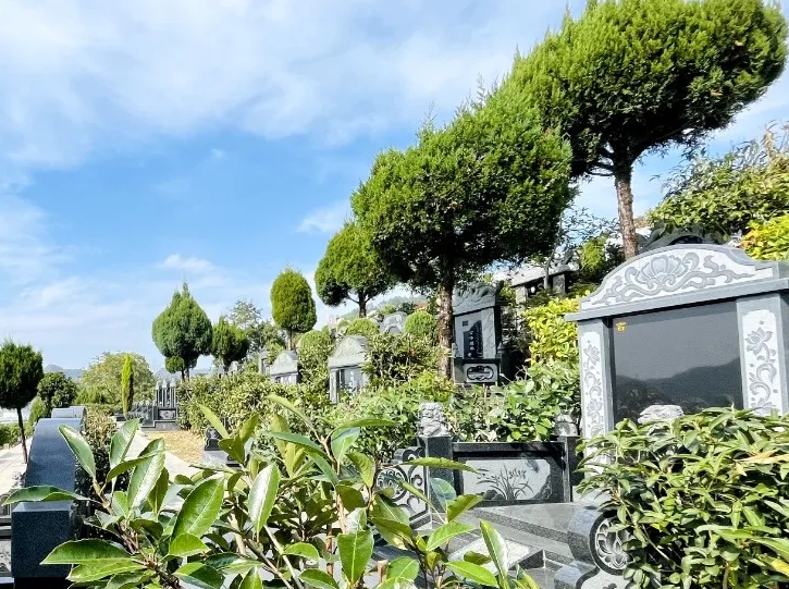 米乐|米乐·M6(中国大陆)官方网站