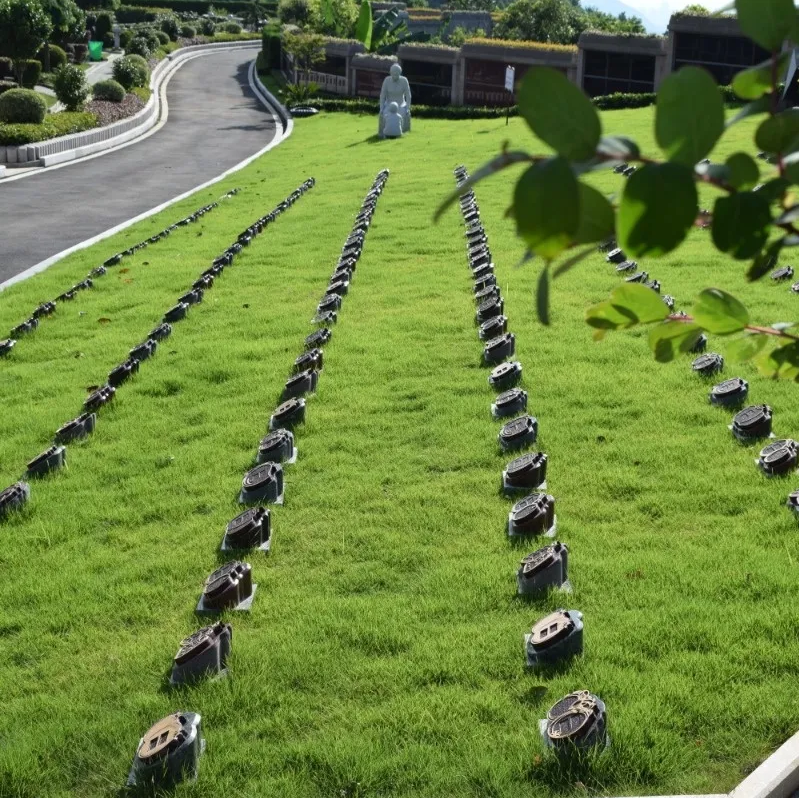 米乐|米乐·M6(中国大陆)官方网站