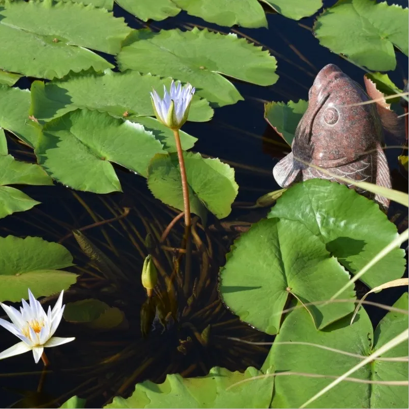 米乐|米乐·M6(中国大陆)官方网站