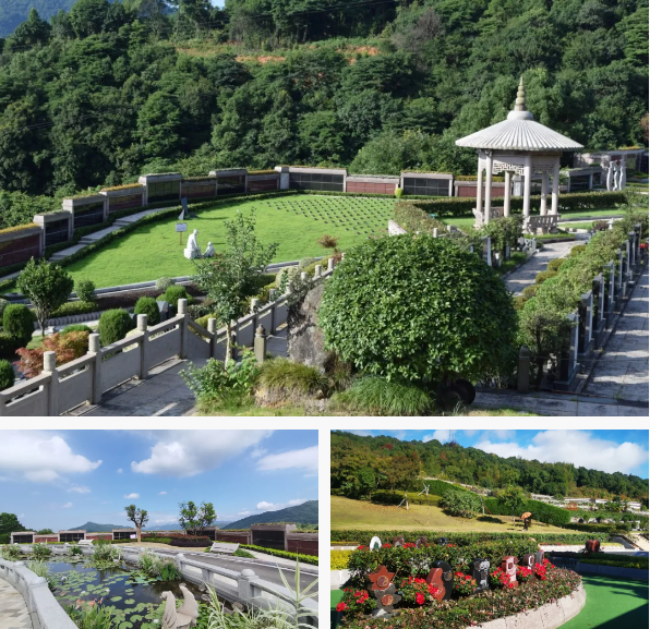 米乐|米乐·M6(中国大陆)官方网站