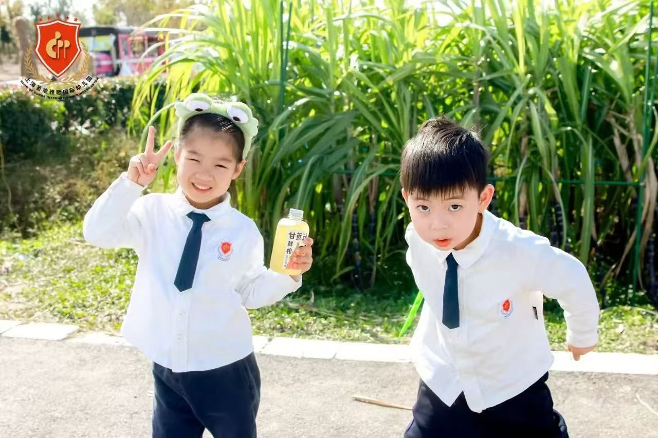 米乐|米乐·M6(中国大陆)官方网站