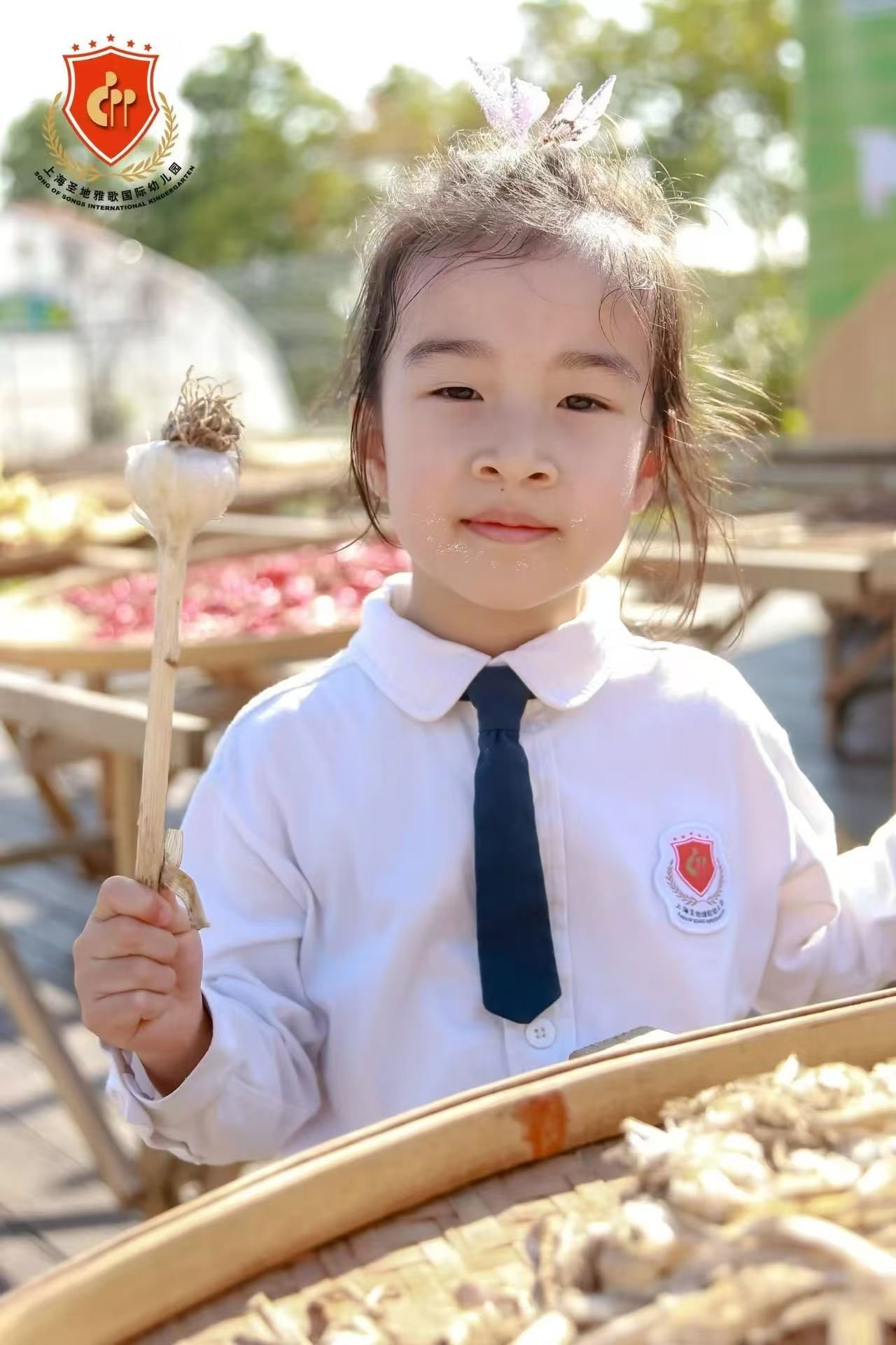 米乐|米乐·M6(中国大陆)官方网站