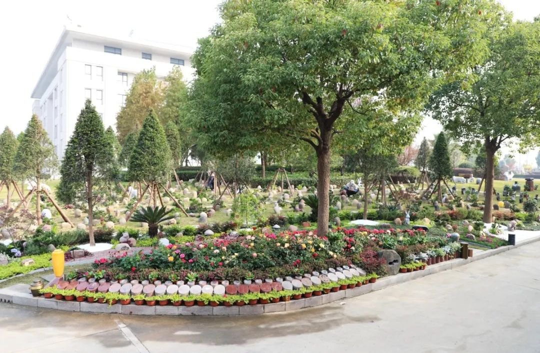 米乐|米乐·M6(中国大陆)官方网站