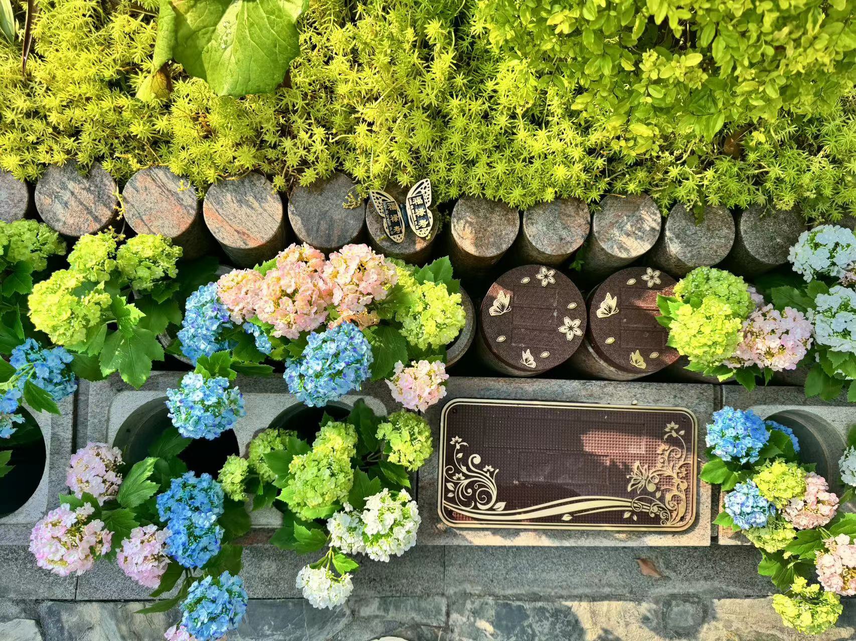 米乐|米乐·M6(中国大陆)官方网站