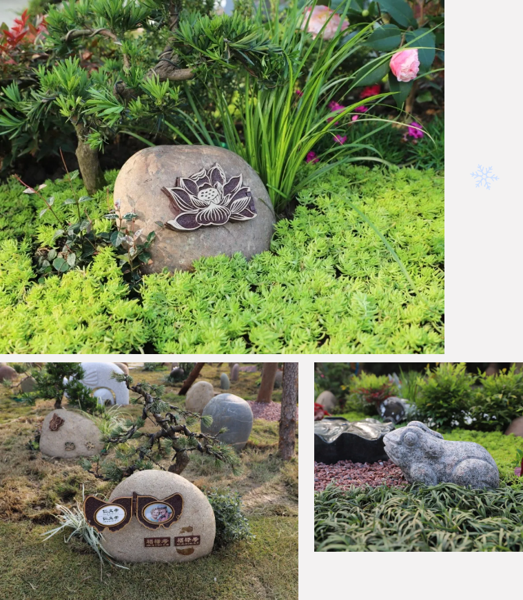 米乐|米乐·M6(中国大陆)官方网站