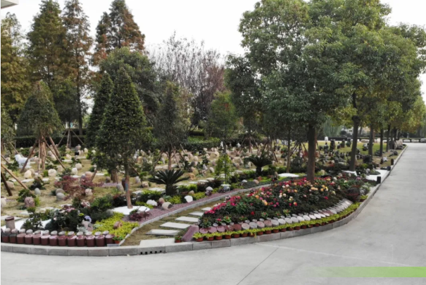 米乐|米乐·M6(中国大陆)官方网站