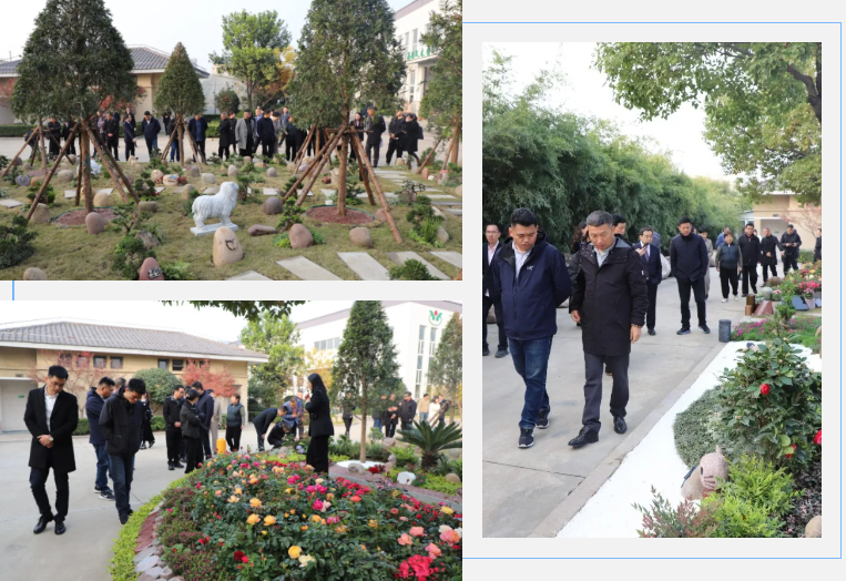 米乐|米乐·M6(中国大陆)官方网站