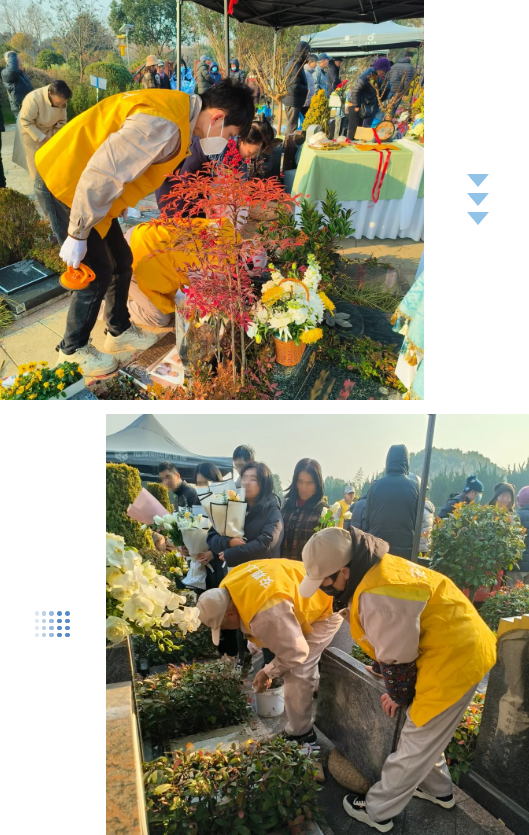 米乐|米乐·M6(中国大陆)官方网站