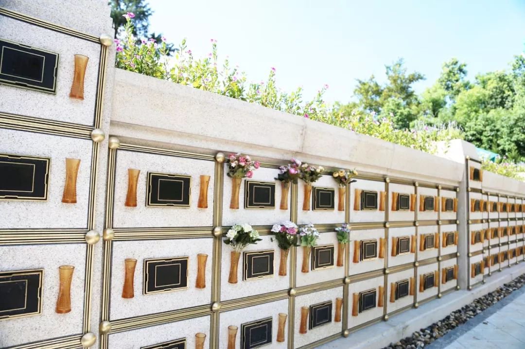 米乐|米乐·M6(中国大陆)官方网站