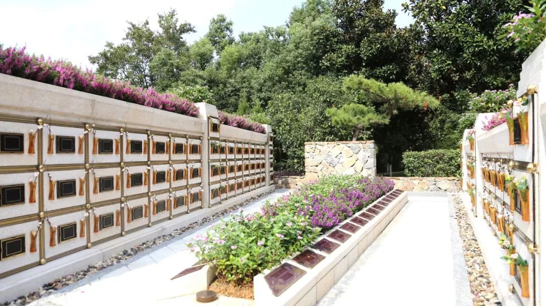 在合肥大蜀山文化陵园，，，，与生命温柔对话