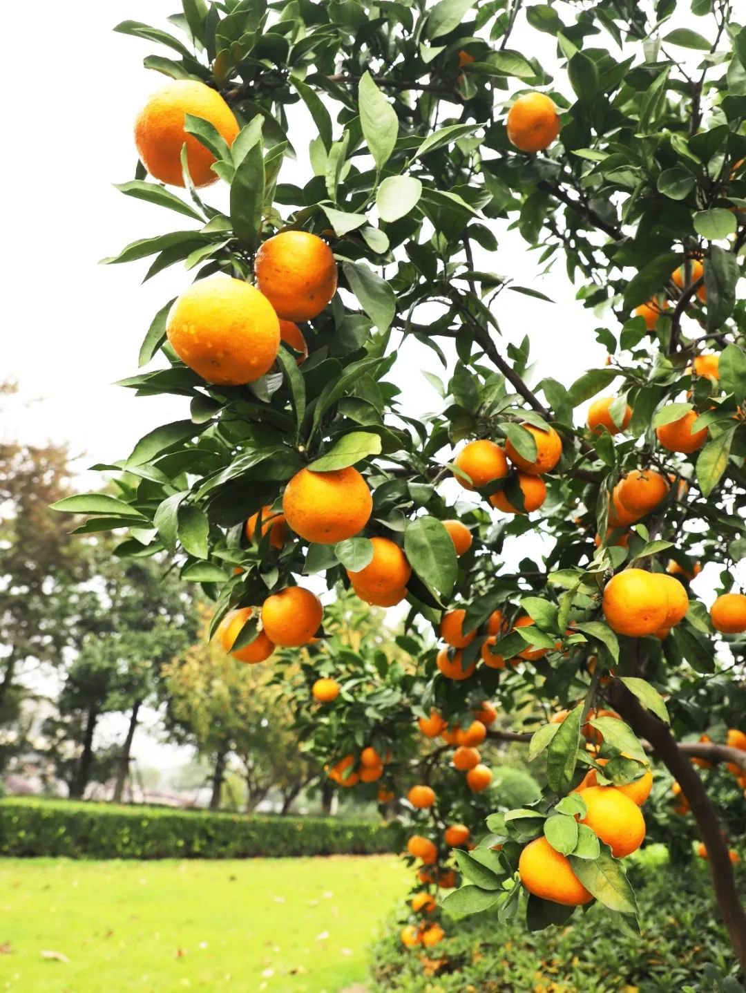 米乐|米乐·M6(中国大陆)官方网站