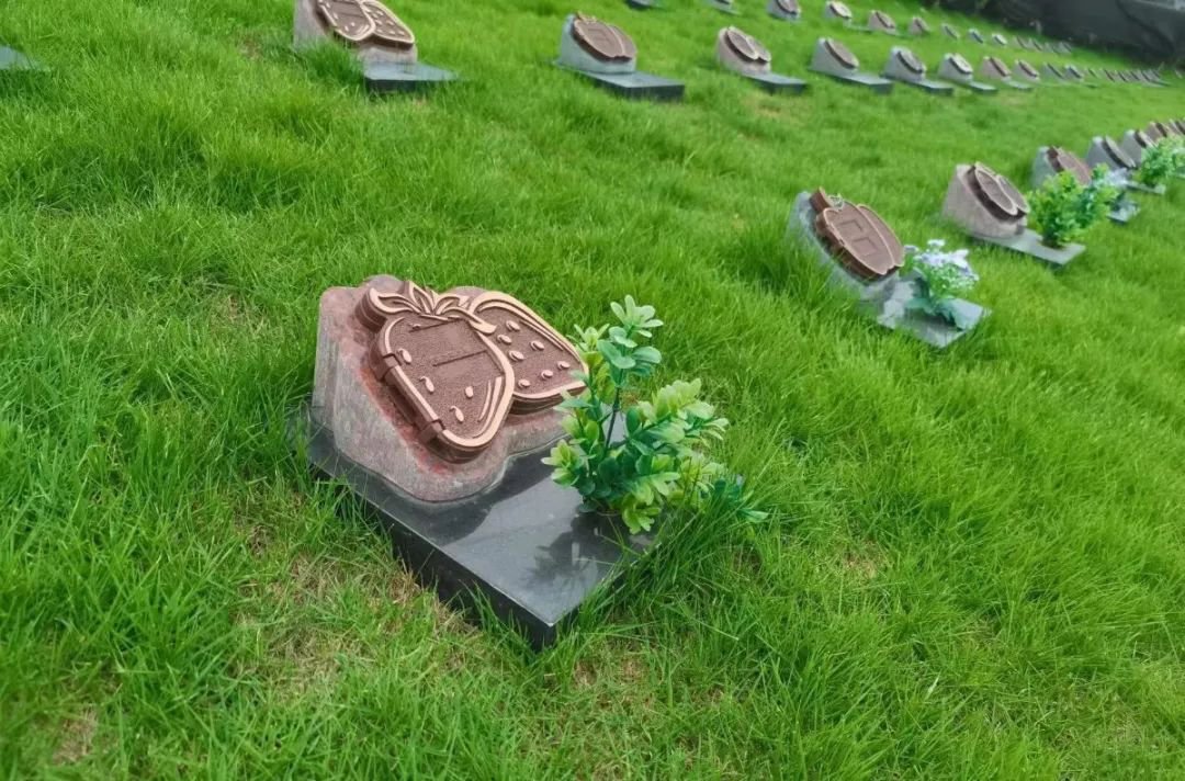 米乐|米乐·M6(中国大陆)官方网站